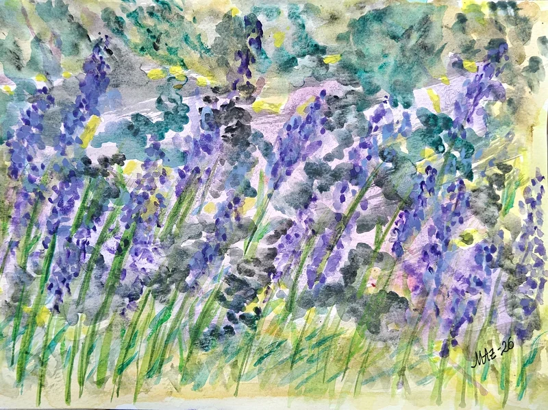 Akvarell Lavendel av Maria Anderzén