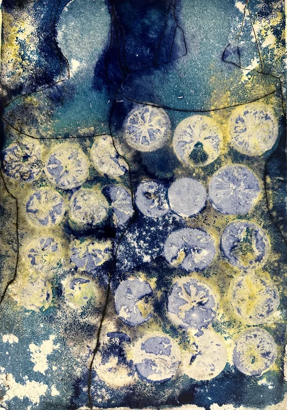 Limone III av Lena Sundbom
