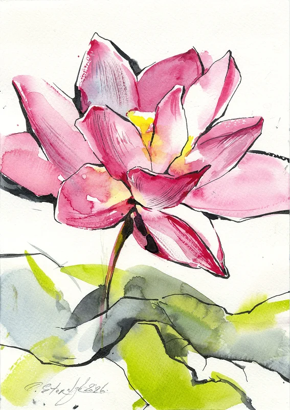 Lotus, Uppsalas botaniska gården av Olga Sternyk