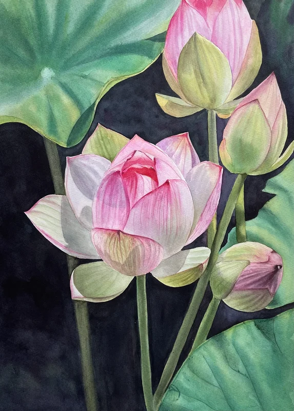 Akvarell Lotus av Valida Jarmetova