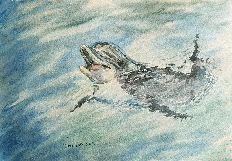 Akvarell Delfin av Iryna Denysenko