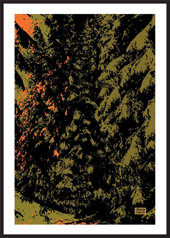 Woods / Hoods av Ola Carlberg