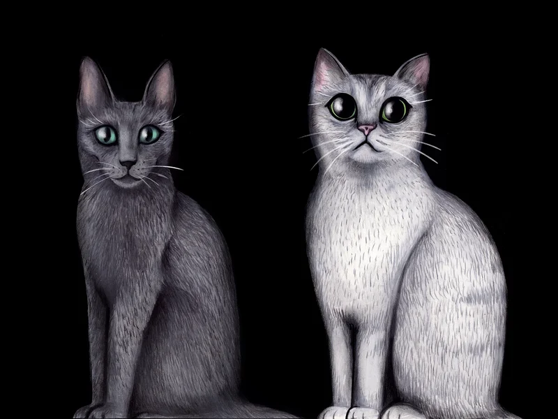 Kattporträtt av Hedvig Wisselgren