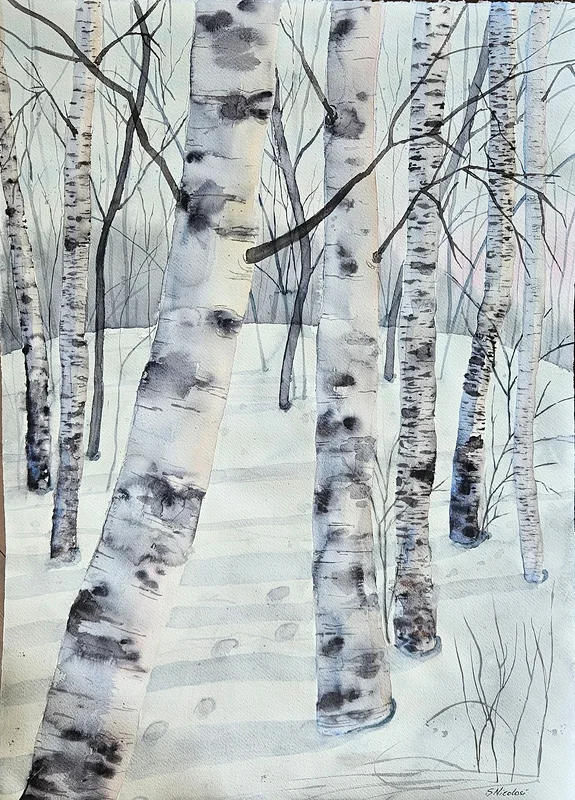 Akvarell Birch forest av Susanna Nicolosi