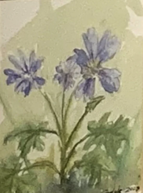 Akvarell First springflower av Carlyle Minnaar
