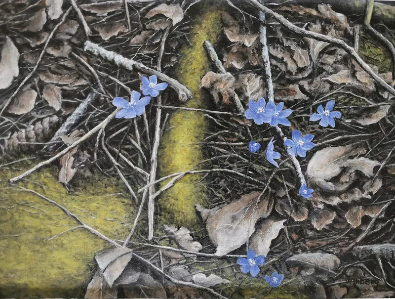 Oljemålning Hepatica av Peter Winberg