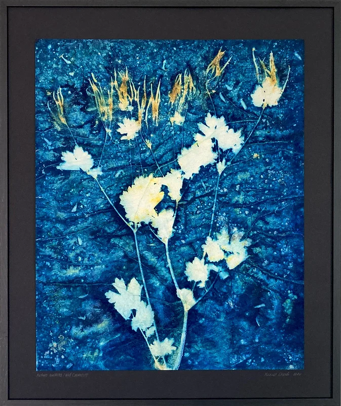 Nature walking av Maziar Ghandi