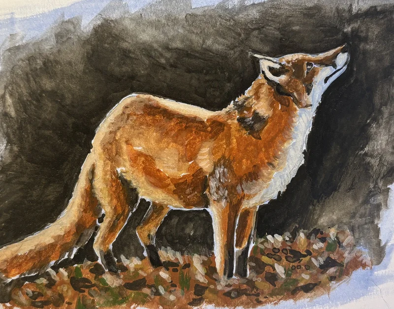 Räv i gouache av Olivia Carlsson Wennerström