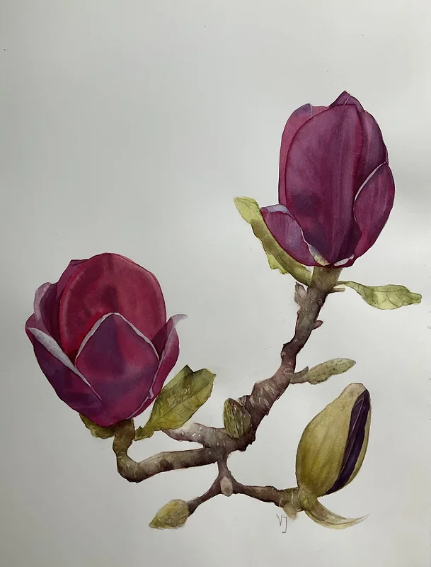 Akvarell Magnolia av Valida Jarmetova