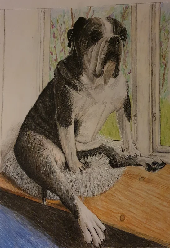Hund I fönster. av Linn Johansson