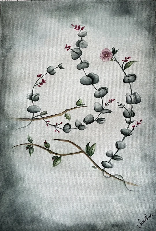 Akvarell Eucalyptus av Anna Roos Friden