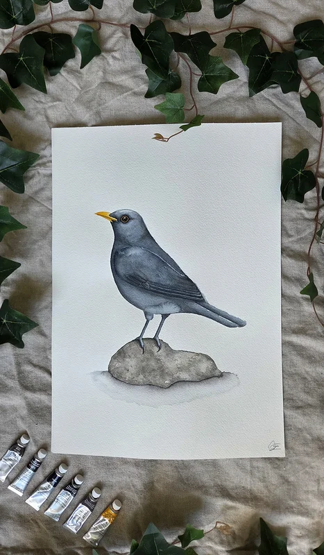 Akvarell Fågeln på stenen av Kajsa Olson - Art By Kajjan