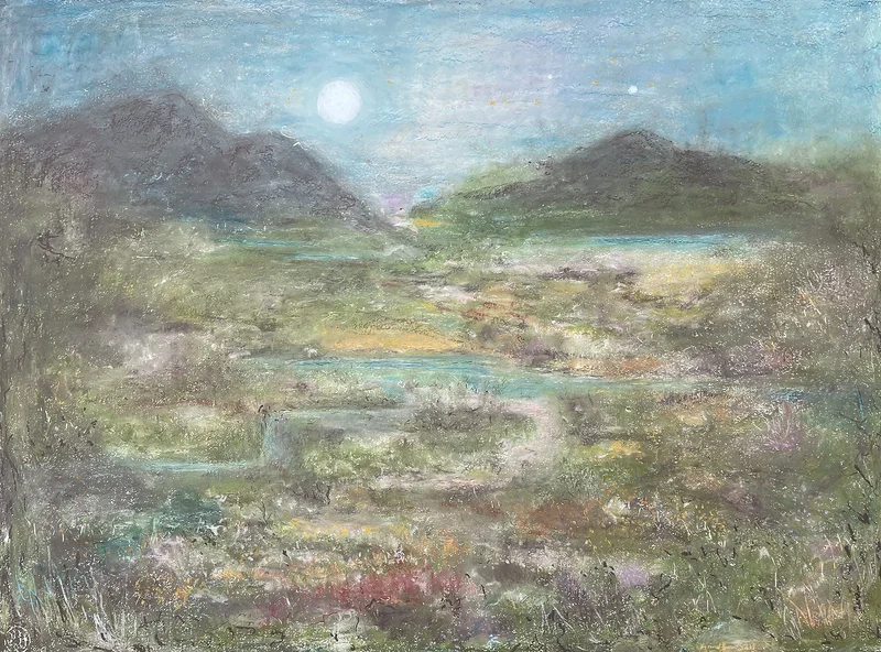Wilda himmel av Anna Elfverson Sjödahl