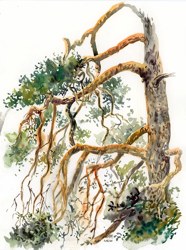 Akvarell Pine tree av Anastasiia Mazeina