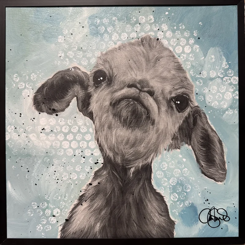 MM ANIMLAS 161 av Matilda Skoglund