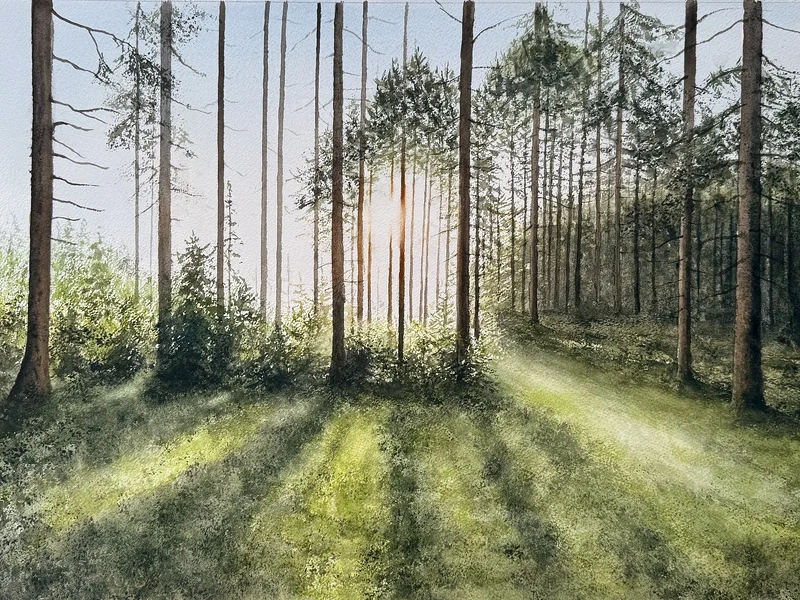 Akvarell En plats i skogen av Jeanette Malmberg