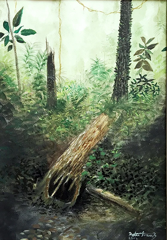Akvarell Rainforest Dawn av Peter Suárez
