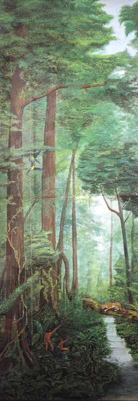 Rainforest Under the treetops av Peter Suárez