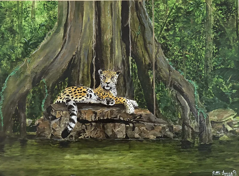 Rainforest Resting jaguar av Peter Suárez