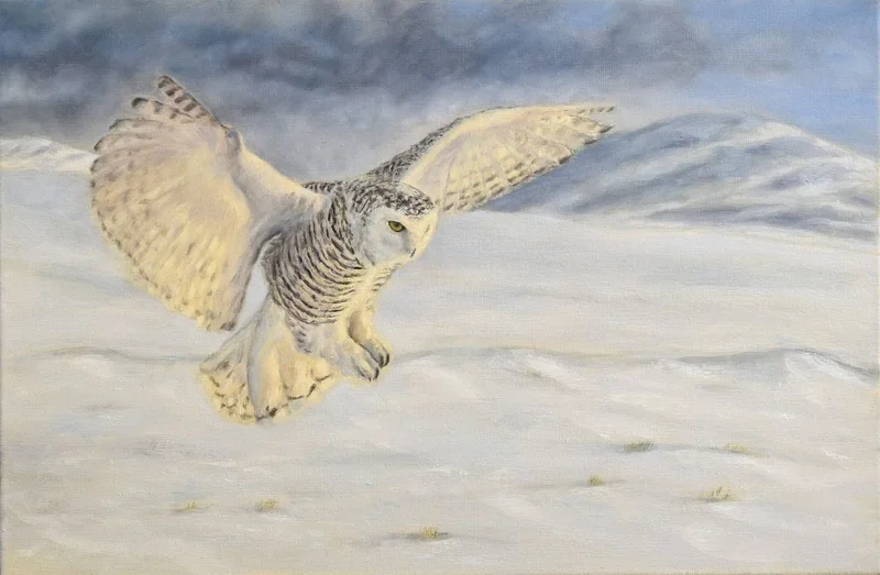 Oljemålning The Flying Snow Ghost  - fjälluggla av Ulrica Brorén