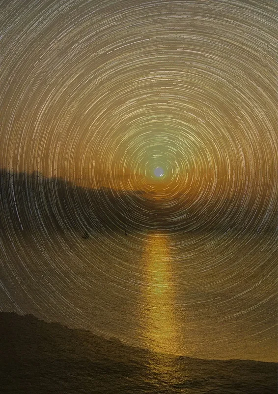 Life Cycles av Caroline Yazi