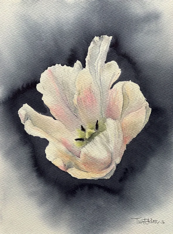 Akvarell Tulip av Tina Eklöv