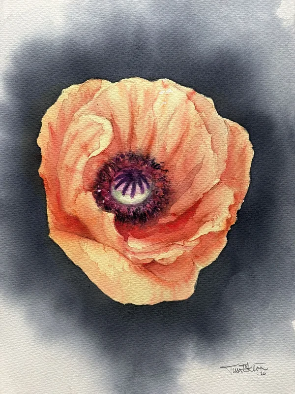 Akvarell Poppy av Tina Eklöv