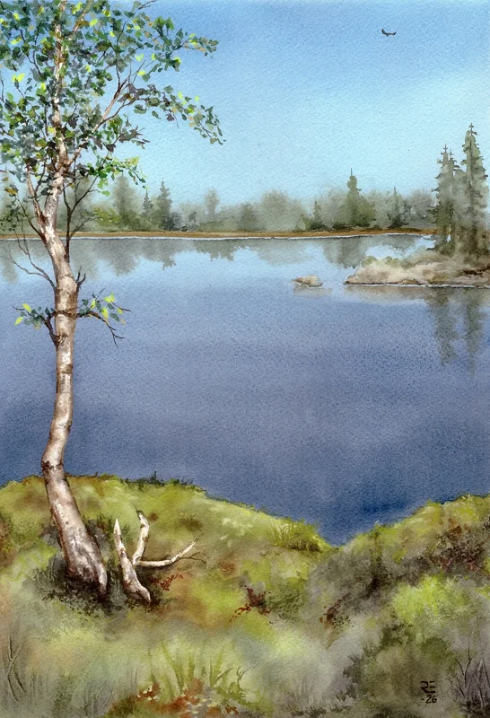 Akvarell Fjällbjörk vid Västervattnan, Tännäs av Roger Eriksson