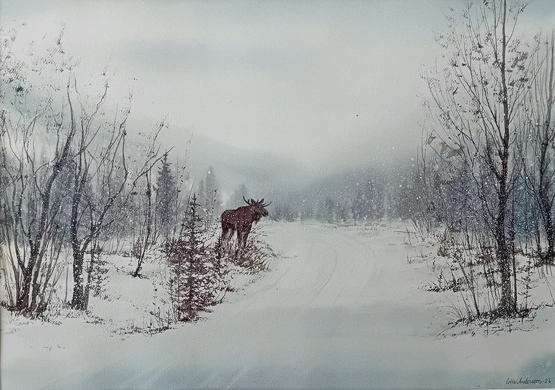 Akvarell Älg i vinterlandskap av Lotta Andersson