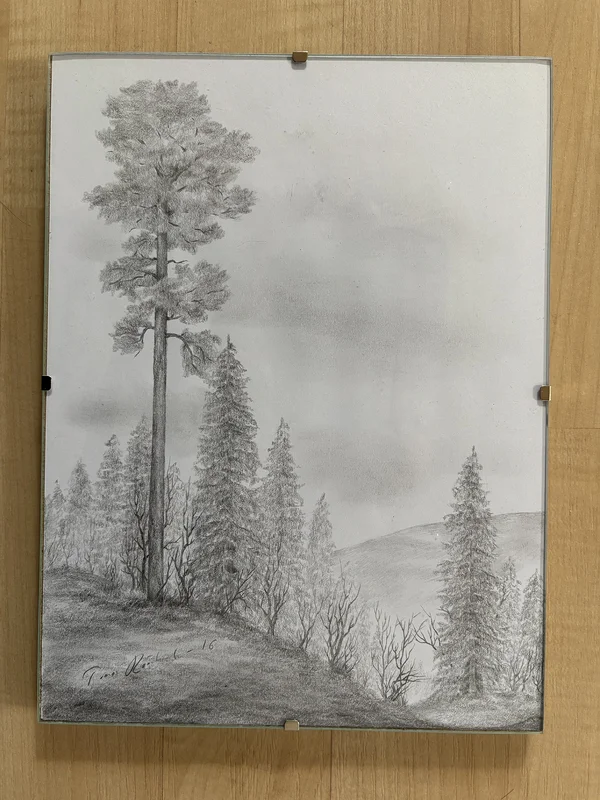 Skog av Tomas Rönnlund