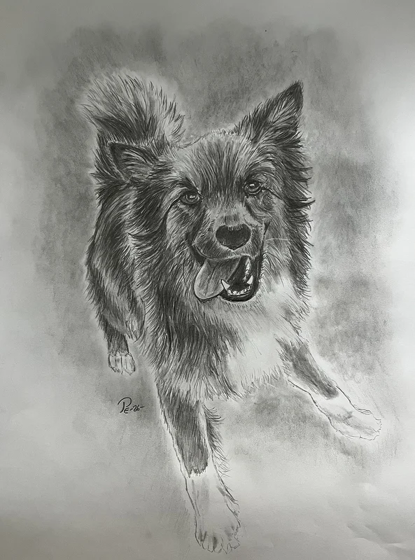 Louie the Dog av Paul Eriksson
