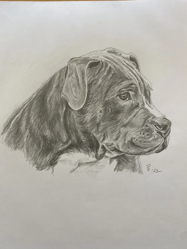 Grabben the Dog av Paul Eriksson