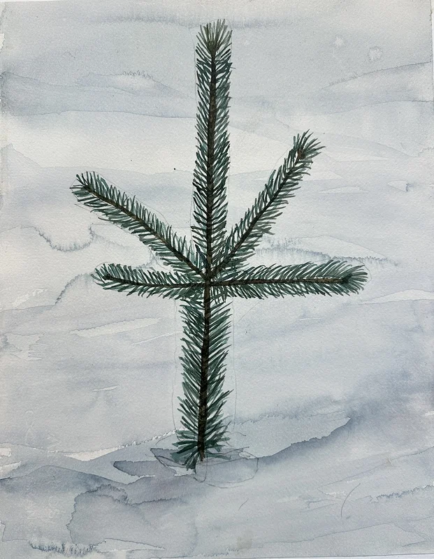 Akvarell Tallskott nr 2 av Sven Teglund