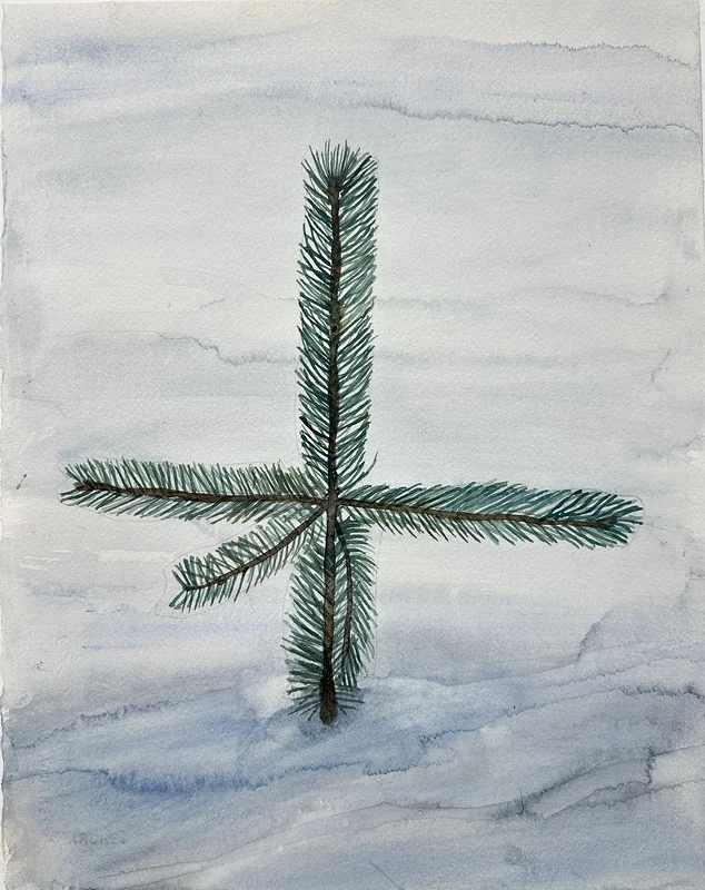 Akvarell Tallskott nr 3 av Sven Teglund