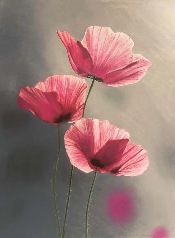 Rosa vallmo av Christian Prändel