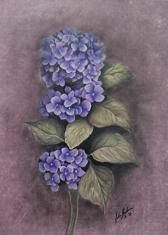 Hydrangea av Ida Axelsson