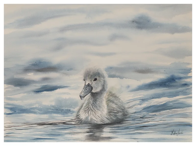 Akvarell Duckling av Mattias Norén