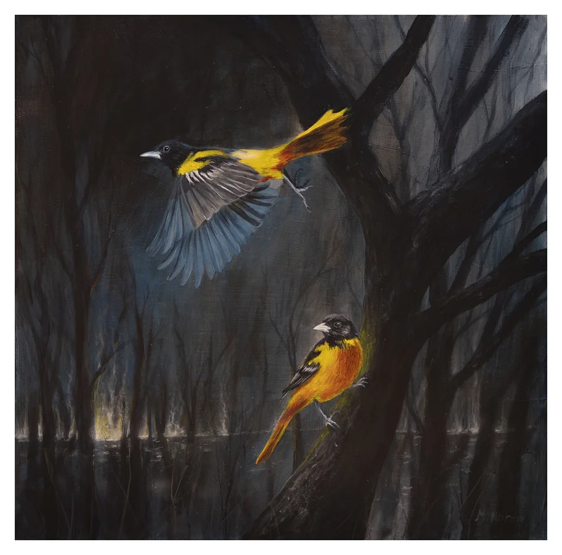 Akrylmålning Birds of fire av Mattias Norén