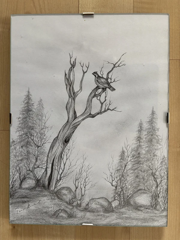 Hjärpe, skog av Tomas Rönnlund