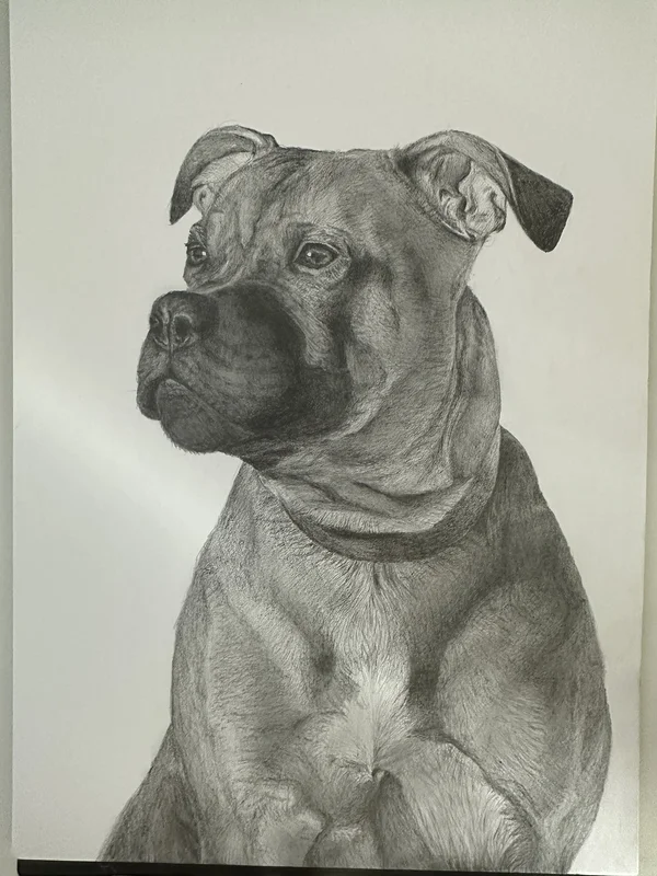 Dog av Frida Svanström