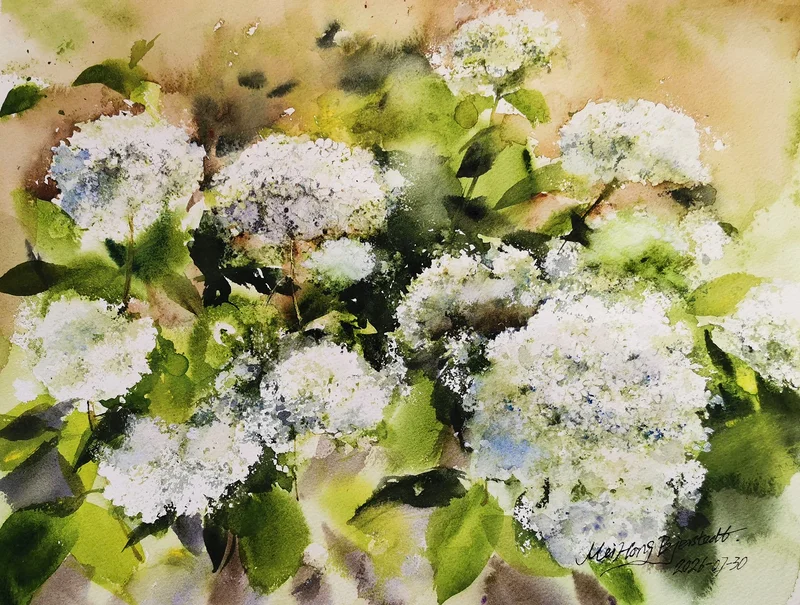 Akvarell Hortensia i min trädgården av Mei Hong Bjerstedt