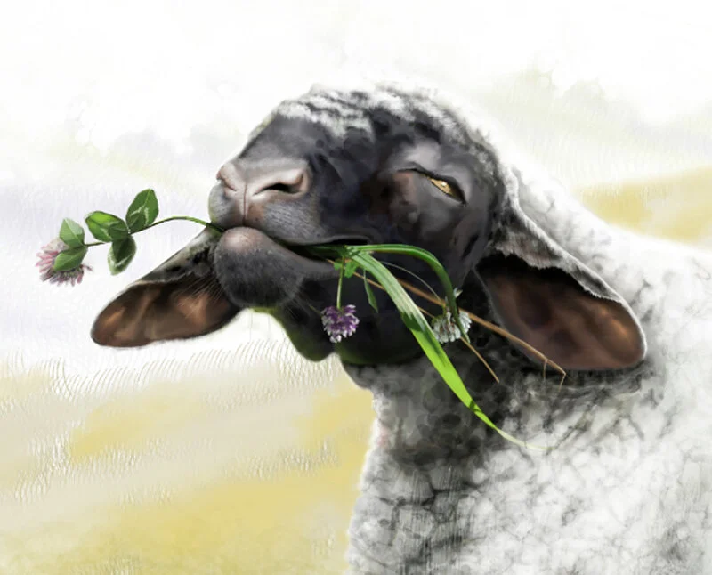 In the moment av Slh Argenius