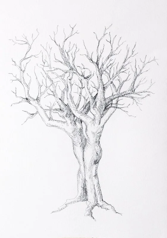 Growing together av Marie-Christine Zandian