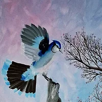 Shailin Palin